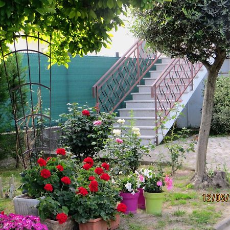 5 Palme Bed & Breakfast Terzo d' Aquileia Bagian luar foto