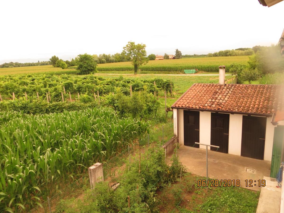 5 Palme Bed & Breakfast Terzo d' Aquileia Bagian luar foto