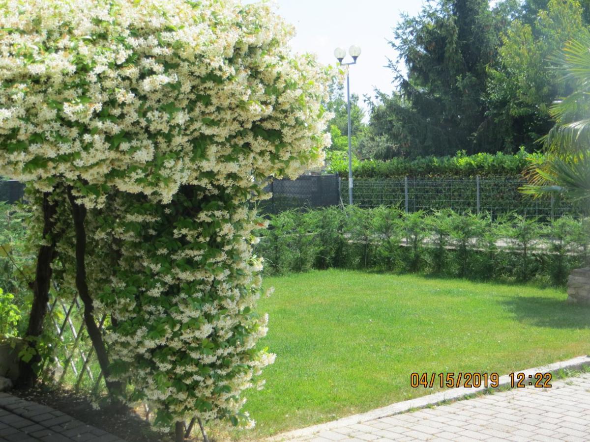 5 Palme Bed & Breakfast Terzo d' Aquileia Bagian luar foto