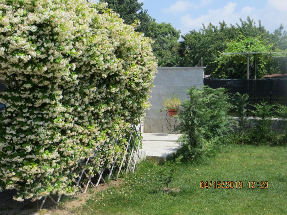 5 Palme Bed & Breakfast Terzo d' Aquileia Bagian luar foto