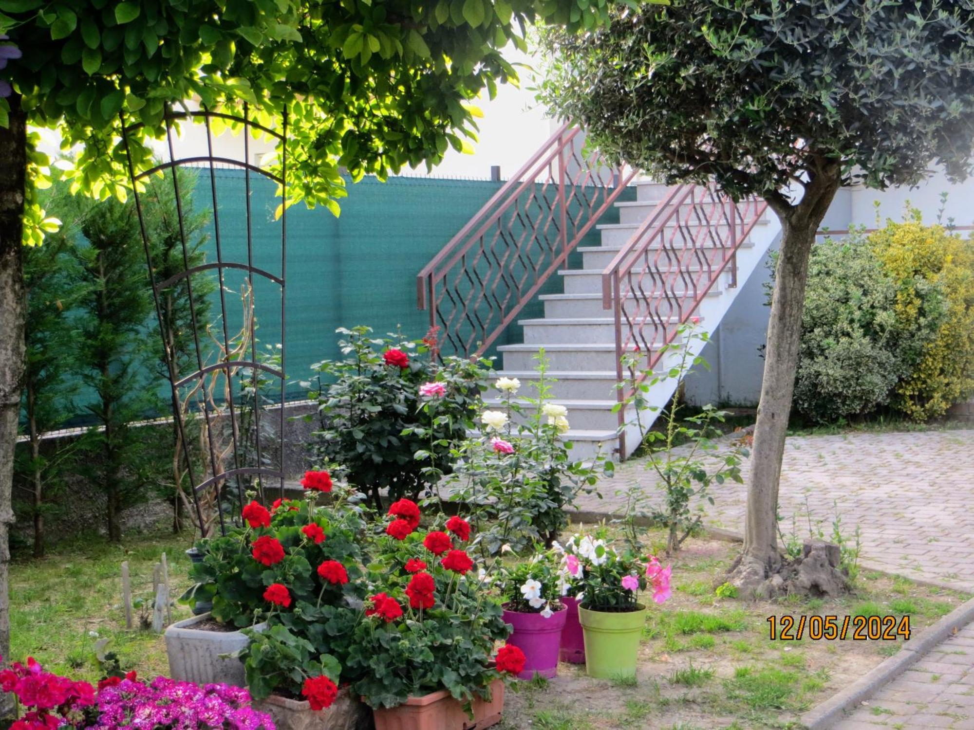 5 Palme Bed & Breakfast Terzo d' Aquileia Bagian luar foto