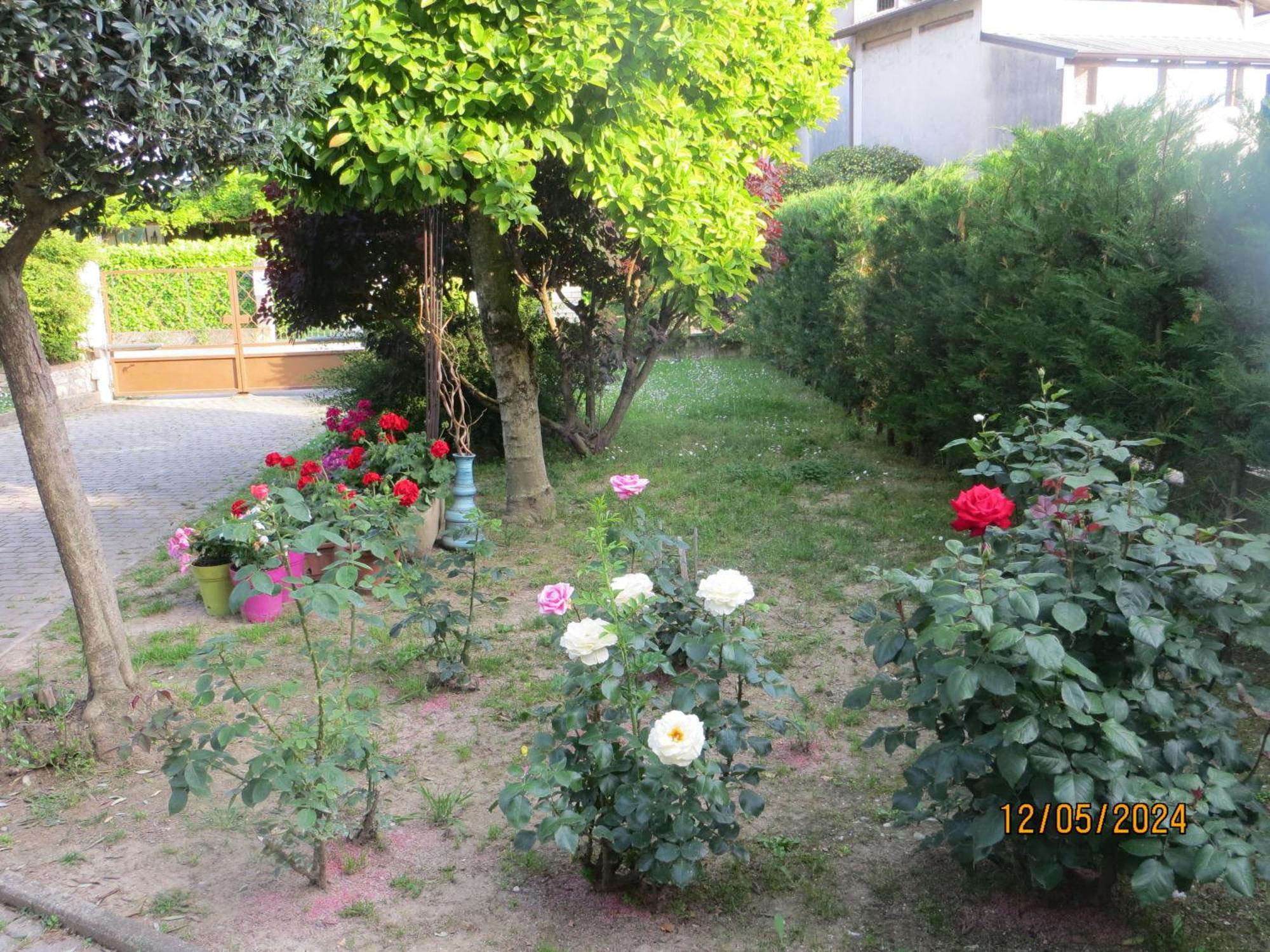 5 Palme Bed & Breakfast Terzo d' Aquileia Bagian luar foto