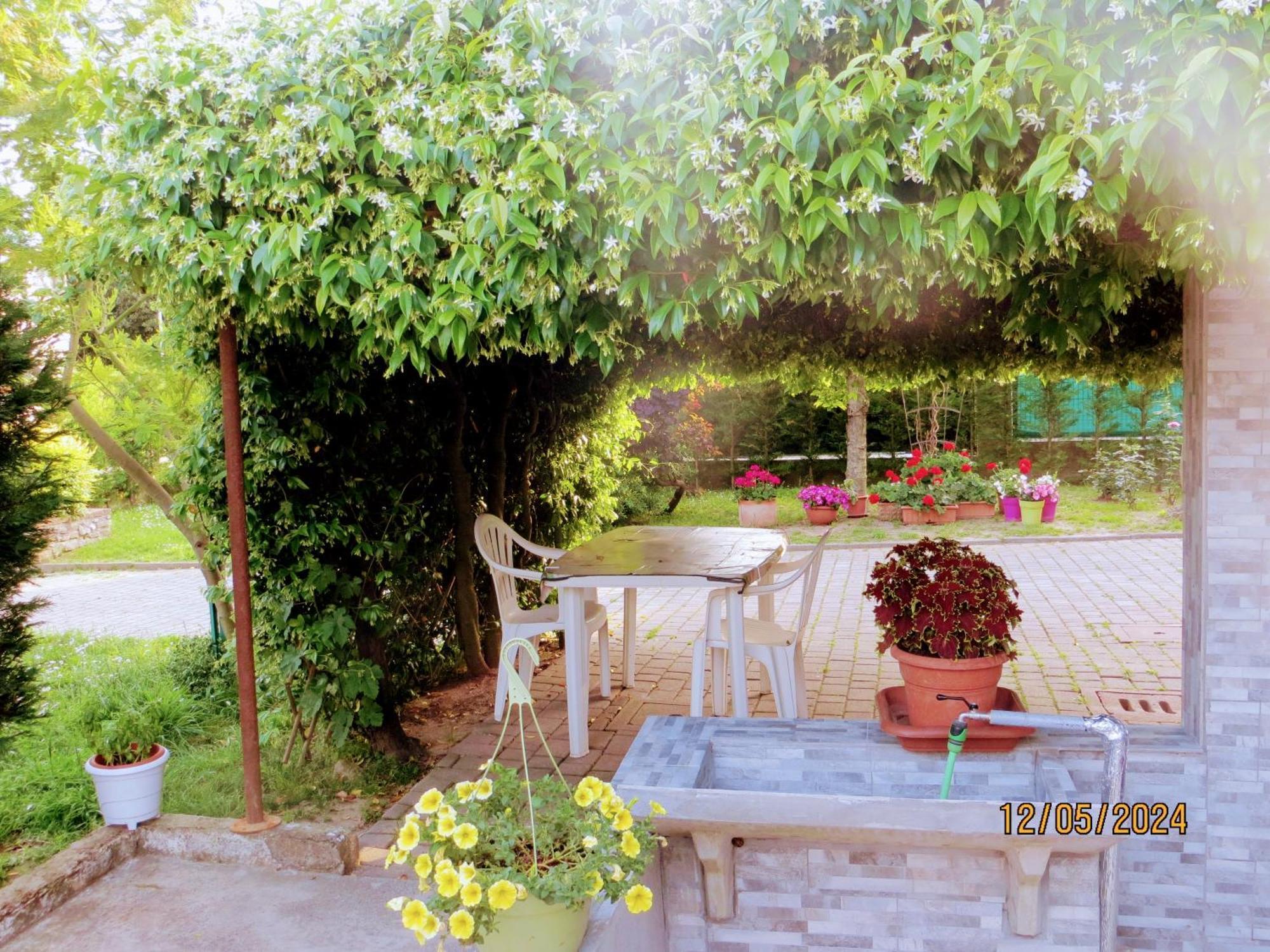 5 Palme Bed & Breakfast Terzo d' Aquileia Bagian luar foto